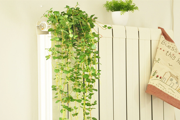 樹葉也可以這么美