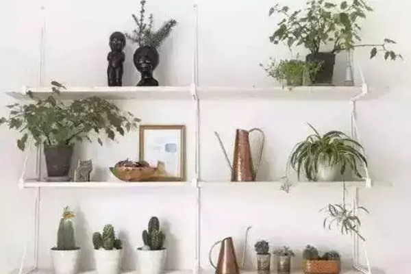 6招教你打造室內(nèi)花園