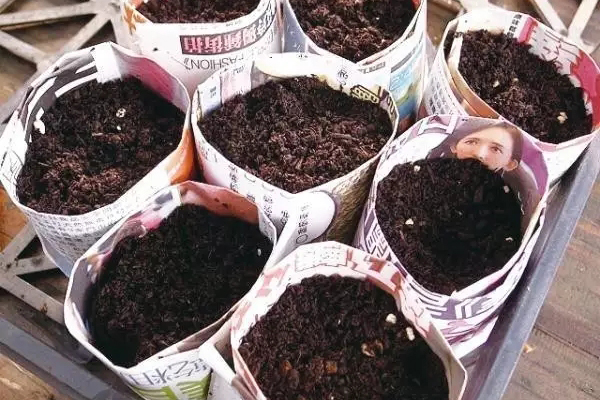 用舊報紙做個花盆