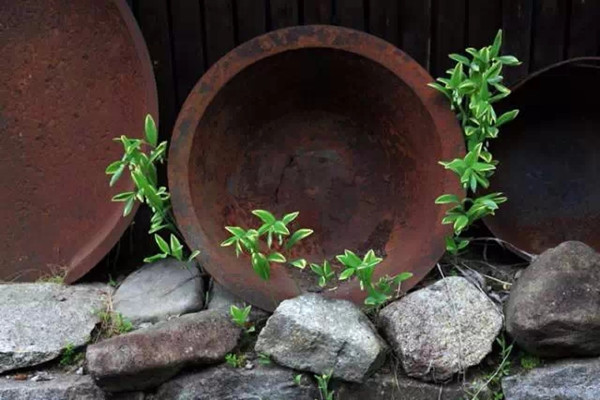 簡(jiǎn)單的花器，卻美到極致