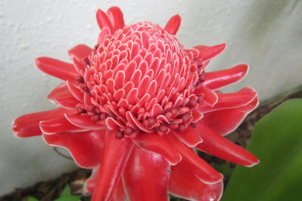 「毀三觀」花界的奇葩們竟然辦了臺晚會