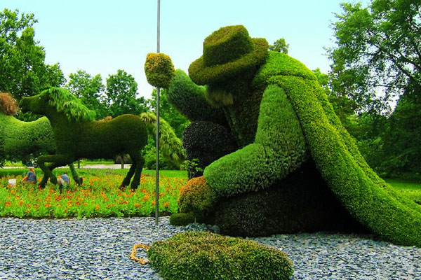 「說實(shí)話」你們到底是動物還是植物