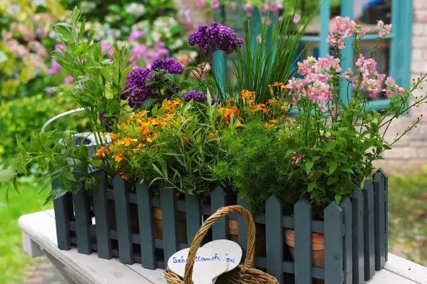 只需19個洞，就可以創(chuàng)造出繽紛花園