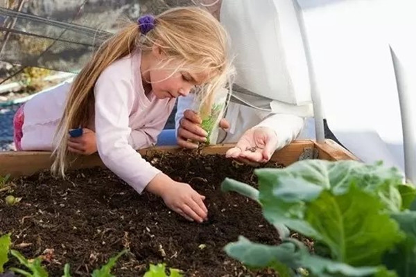這些小技巧能夠幫你提高花卉種子的發(fā)芽率