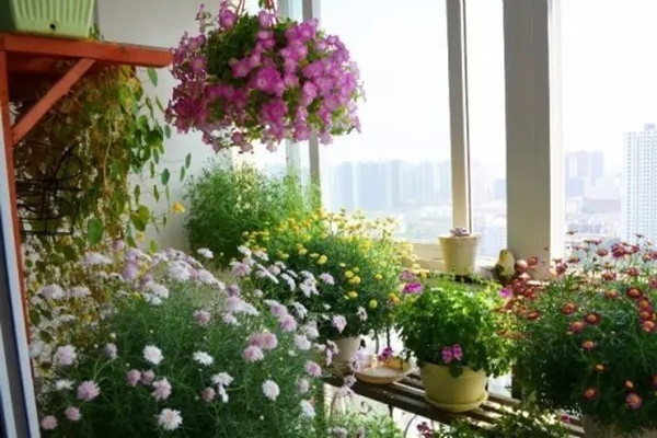 封閉陽(yáng)臺(tái)、室內(nèi)窗臺(tái)也