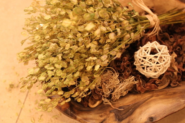 家里放上這些植物，省心省力