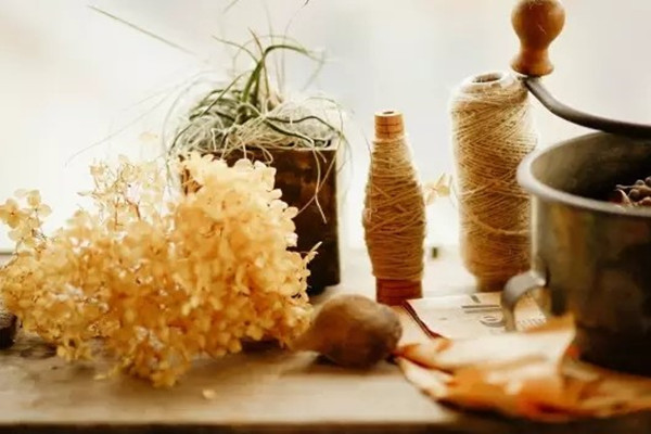 干花制作原來這么簡單