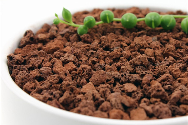 7種自制花肥方法，家里人再也不嫌臭啦