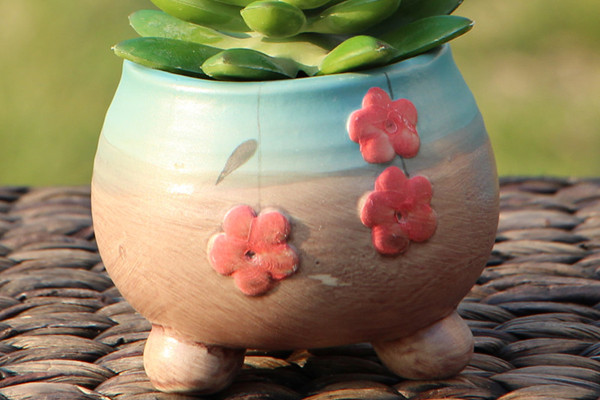 00后竟然用這種花盆，我們都落伍了