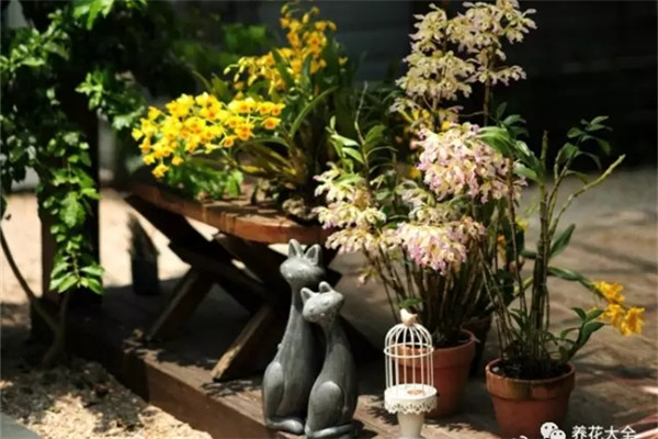 奮斗了半輩子，就是為了這樣一個(gè)小院！