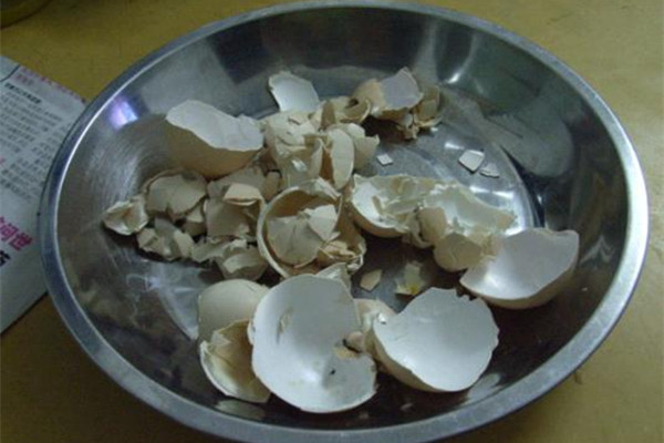 這幾個(gè)自制花肥方法你知道不