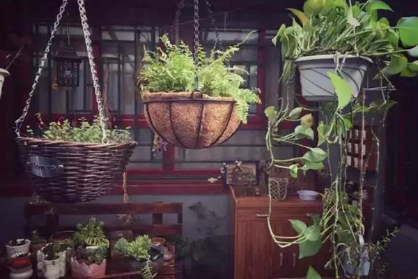 3500元,能打造出一個夢想花園