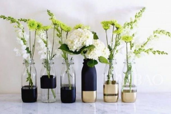 水養(yǎng)植物的美，看了你才知道！