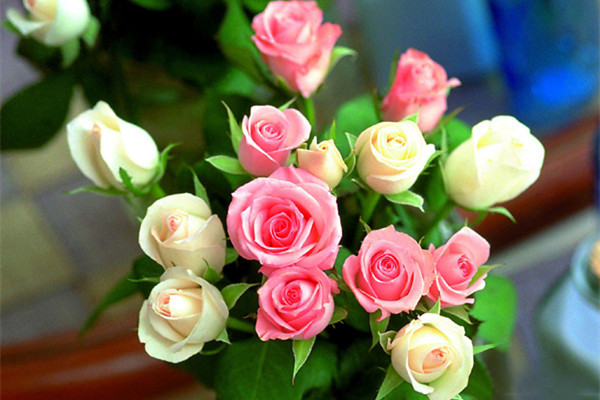 養(yǎng)花人必知的14條常識，你都知道嗎