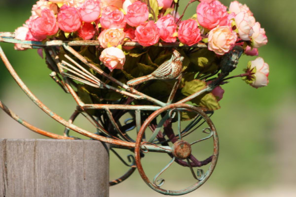 自行車(chē)上的花園景致,生活真美好