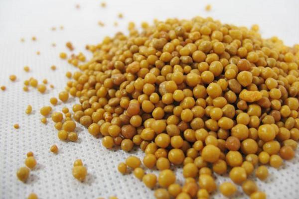 花卉常用養(yǎng)護(hù)肥料，你知道多少