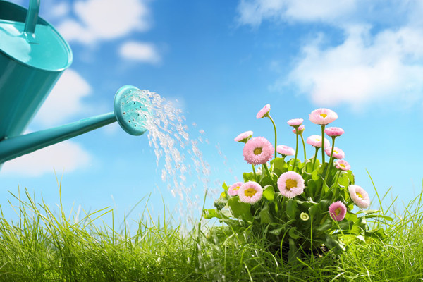 養(yǎng)花澆水要知道這5點(diǎn)