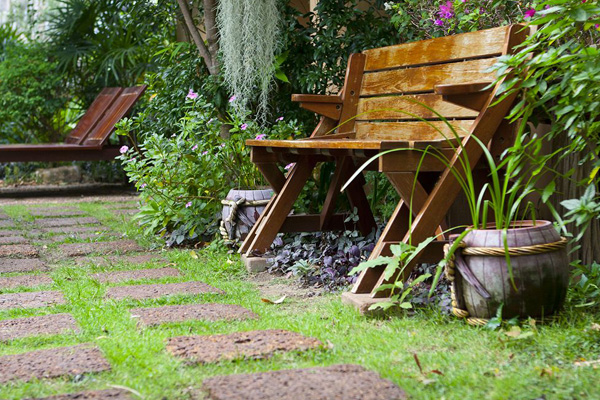 種花種草，不如守一方菜園終老