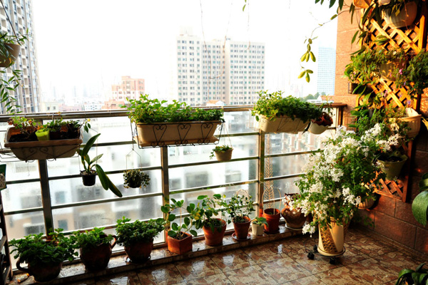 最美花園陽臺改造案例！趕緊收藏