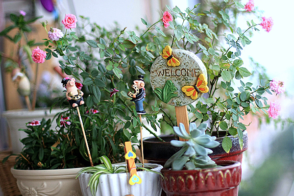 和花兒一起過(guò)童話般的生活