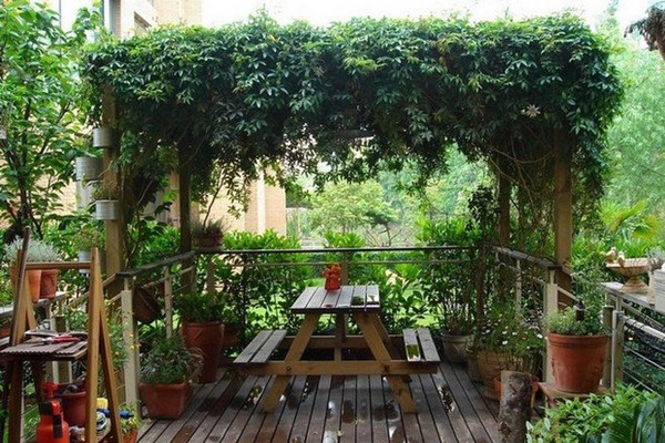 簡靜，一個(gè)人，去盛享生命的清幽