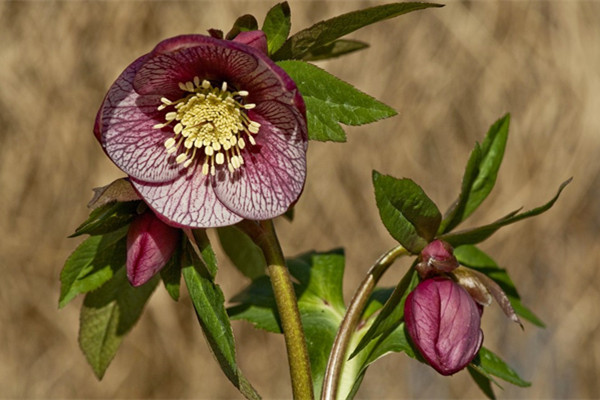驚呆！這些奇葩的名字，我都不好意思叫出口