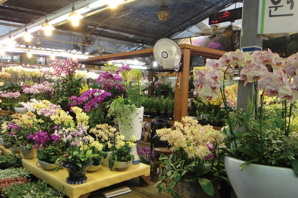 花店老板不會(huì)告訴你的7個(gè)選花技巧