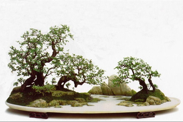 30款極品山水盆景，一盆閱盡萬水千山