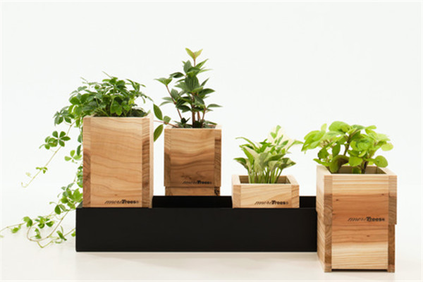 養(yǎng)的花老死，很可能是你花盆用的不對