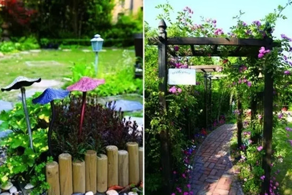 5大繁殖技巧，從此不用再買花