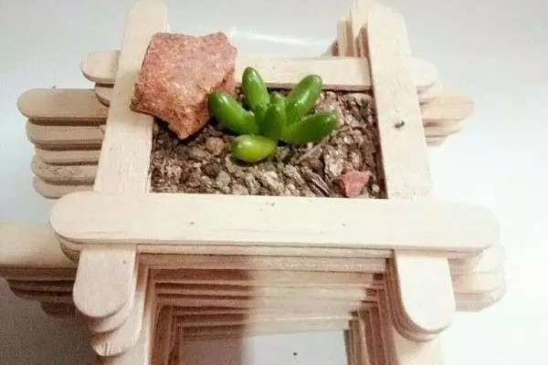 冰激凌棍制作多肉花盆，真的好省錢呢