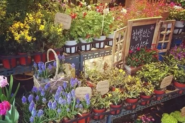 9個小方法，讓你識別花販子的伎倆