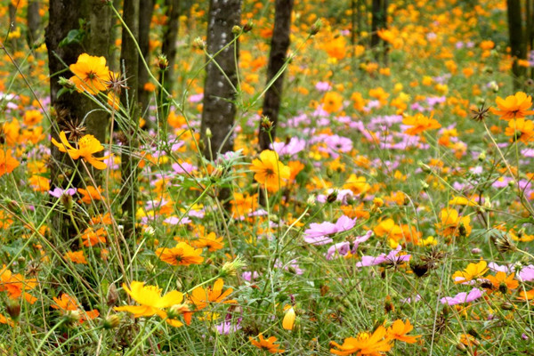 警惕，小心爛根