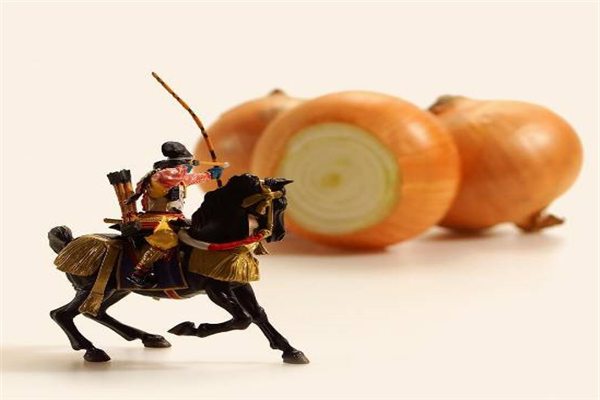 沒(méi)想到天天吃的蔬果里，居然藏著個(gè)小人國(guó)！