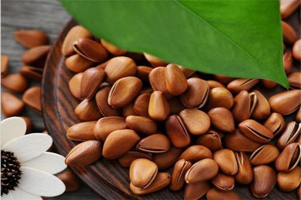 陽(yáng)臺(tái)怎么種板栗？種盆里比花還好看！