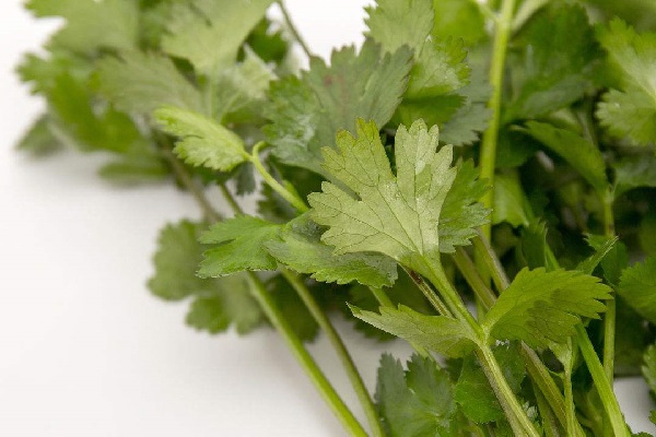 適合秋冬季節(jié)栽種的蔬