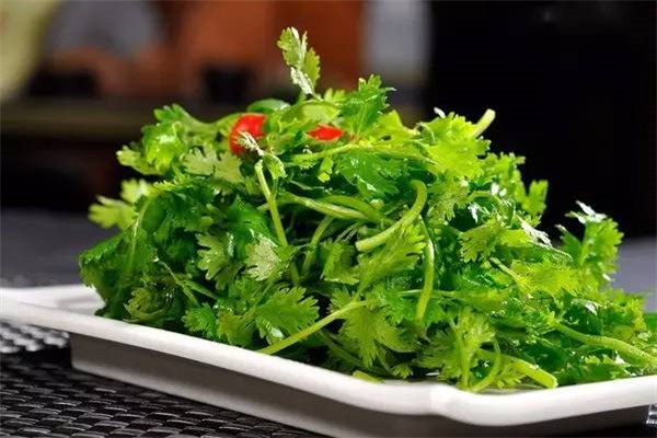 空油桶剪2刀，隨手撒點(diǎn)菜根菜頭，過年都不用買菜了！