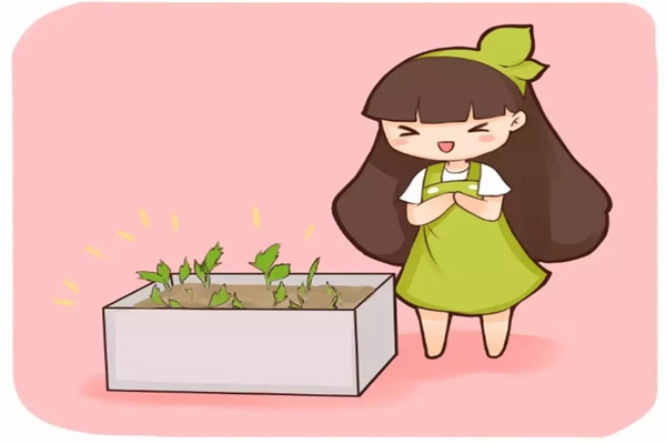 幾粒綠豆，一把熱水壺，3天發(fā)出無毒綠豆芽！