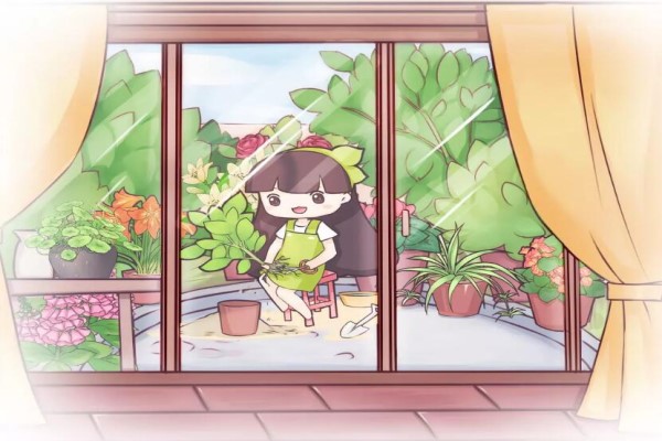 2萬塊/㎡的陽臺，不種點(diǎn)它，簡直虧慘了！