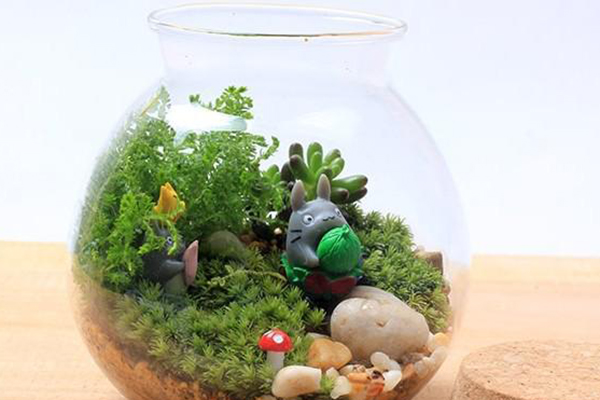 20種花塞進(jìn)1個(gè)玻璃瓶，葉子突突冒水，美的不像樣！