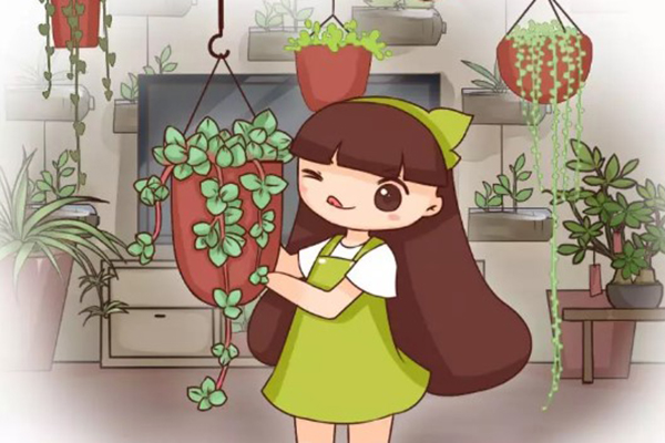 葫蘆椰子爛木樁...挖個(gè)坑就能養(yǎng)多肉，上癮！