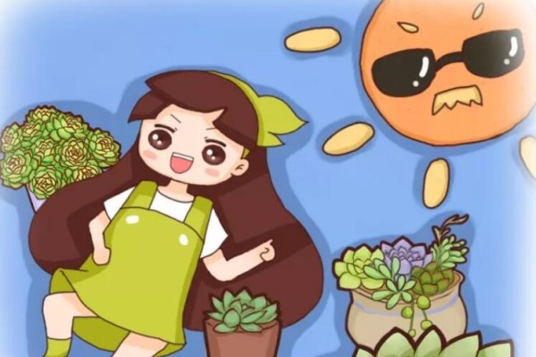 立秋這么曬太陽(yáng)，怪不得多肉曬一盆死一盆！