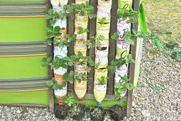 8個(gè)塑料瓶就能擁有一個(gè)立體菜園