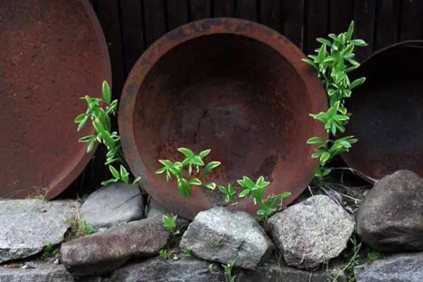 簡(jiǎn)單的花器，卻美到極致