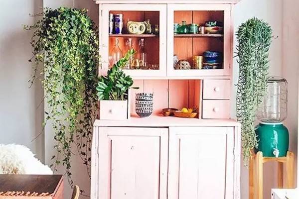 創(chuàng)意五招，在家里種出花園