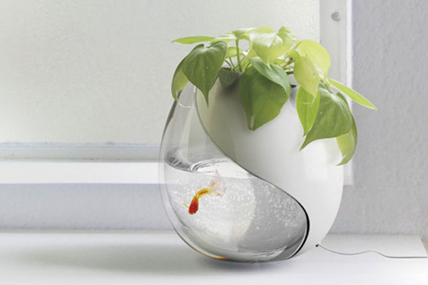 家里沒(méi)地養(yǎng)花?錯(cuò)!是你不會(huì)養(yǎng)