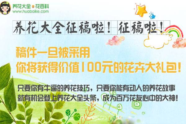 養(yǎng)花大全向廣大花友征稿啦！