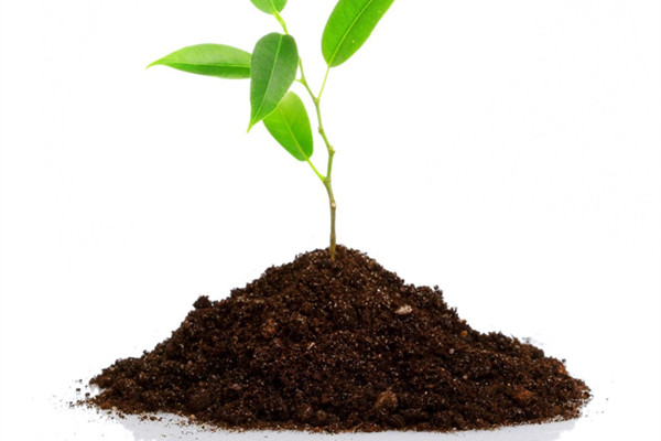 土有問題都不知道，難怪養(yǎng)不好花