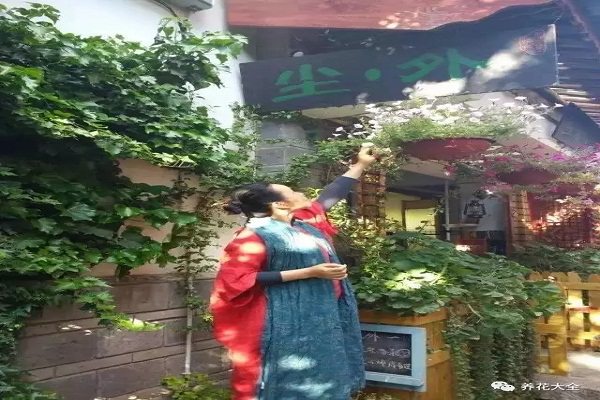 她把破舊老屋變“世外桃源”，養(yǎng)花種果樹(shù)，過(guò)上富足人生……