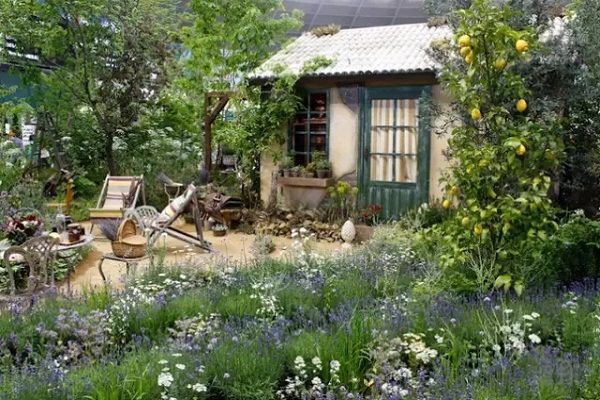 等我退休了，就回鄉(xiāng)下建個(gè)院子，種菜養(yǎng)花，做飯品茶！